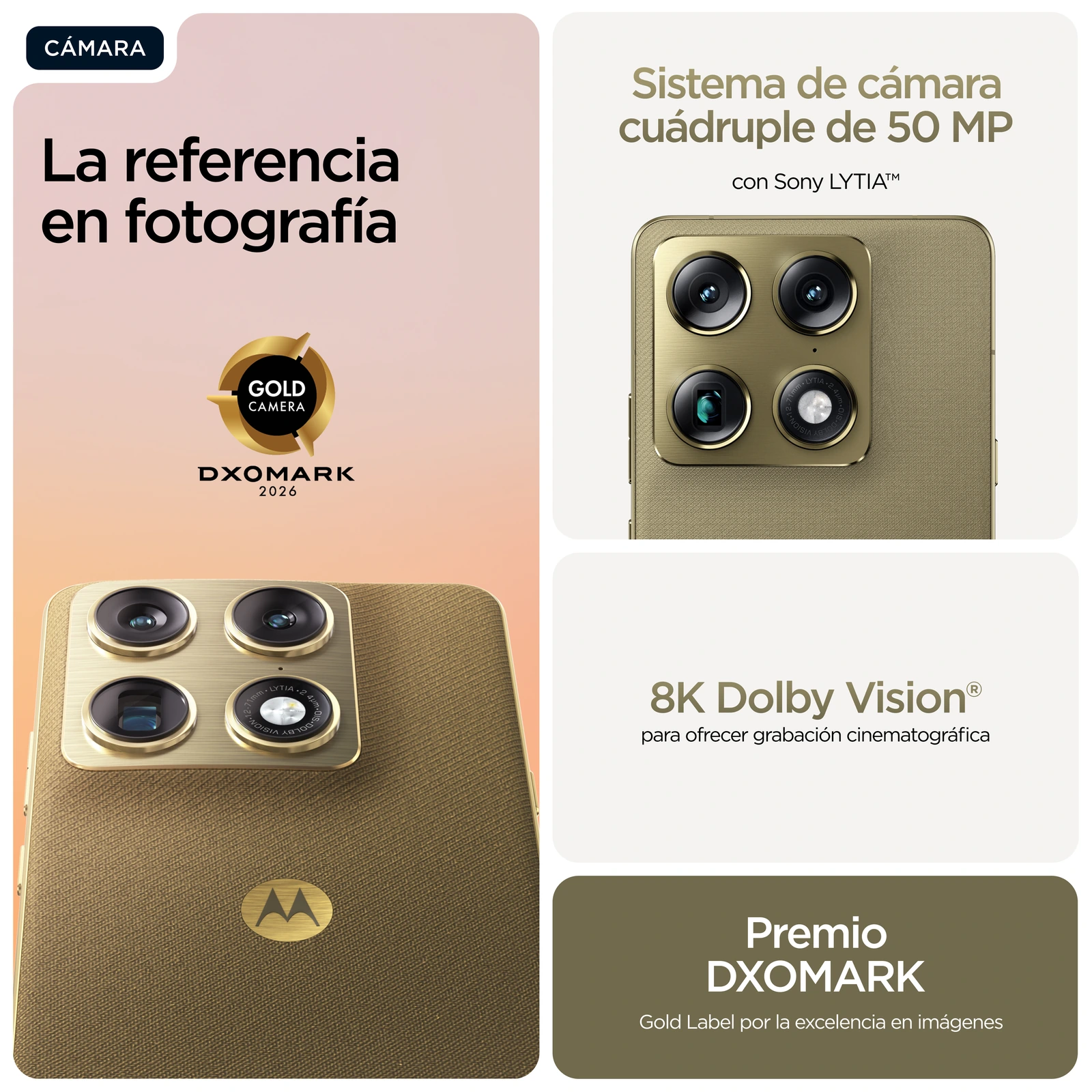 Motorola signature — Vista en Perspectiva