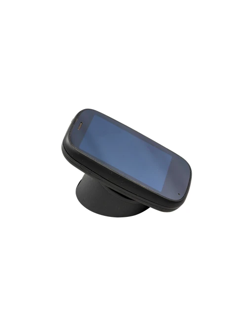 Palm - Pre2 — Acabado Oficial