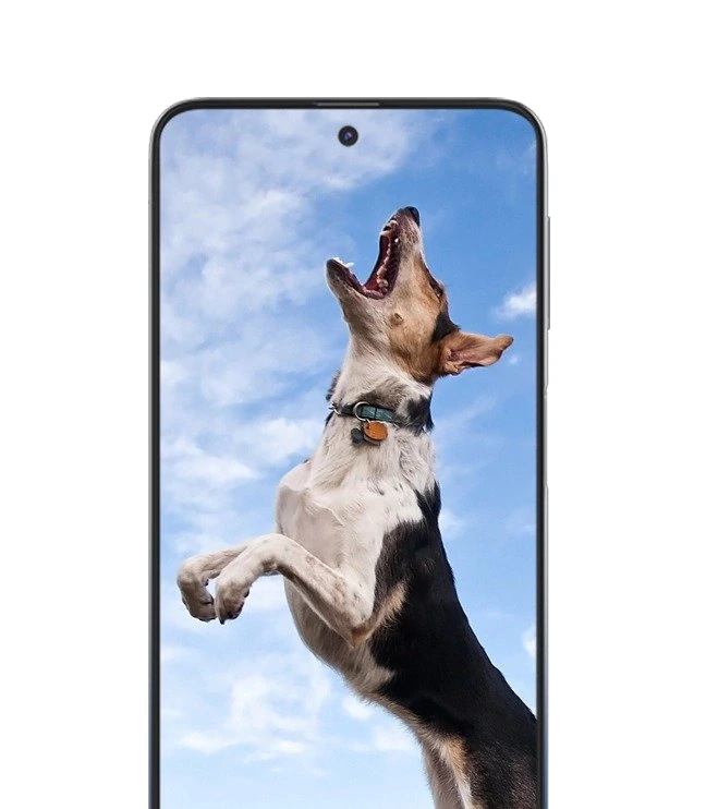 Samsung Galaxy M31s — Acabado Oficial