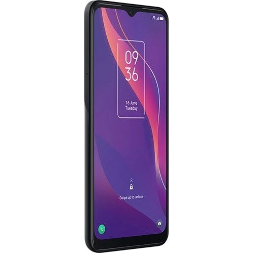 TCL 306 — Perspectiva de Estudio