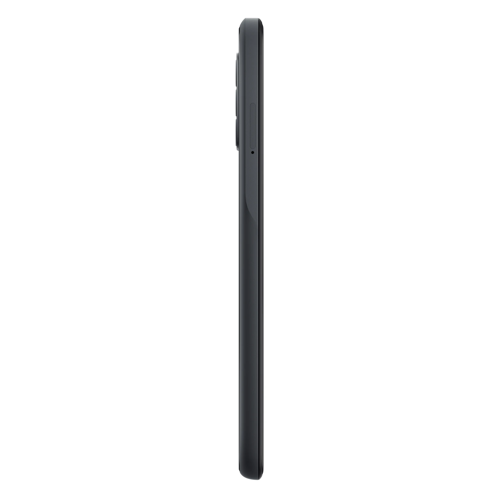 TCL 306 — Vista en Perspectiva