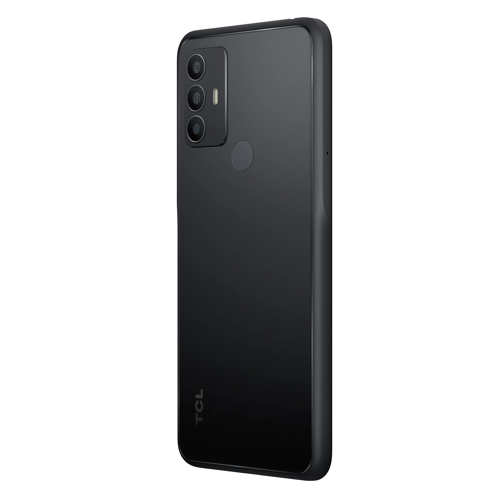 TCL 306 — Vista en Perspectiva