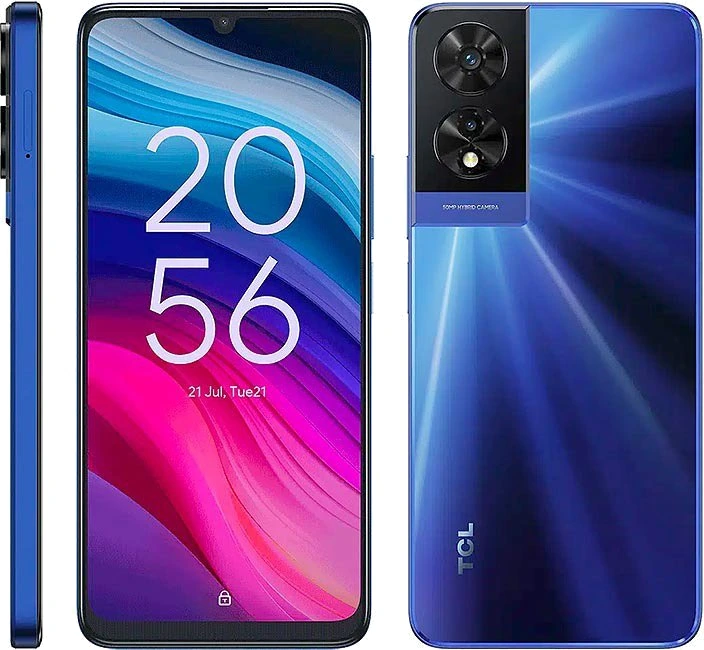 TCL 505 — Perspectiva de Estudio