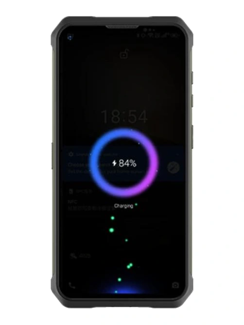Doogee V10