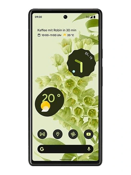 Google Pixel 6