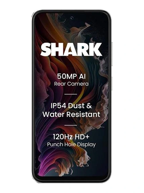 Lava Shark