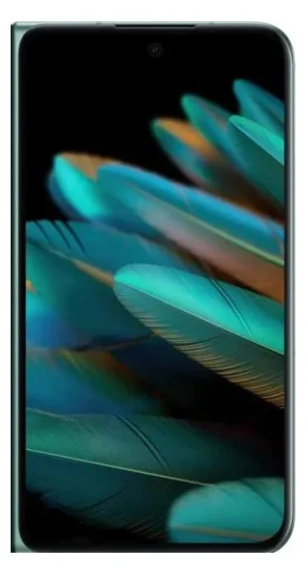 Oppo Find N2