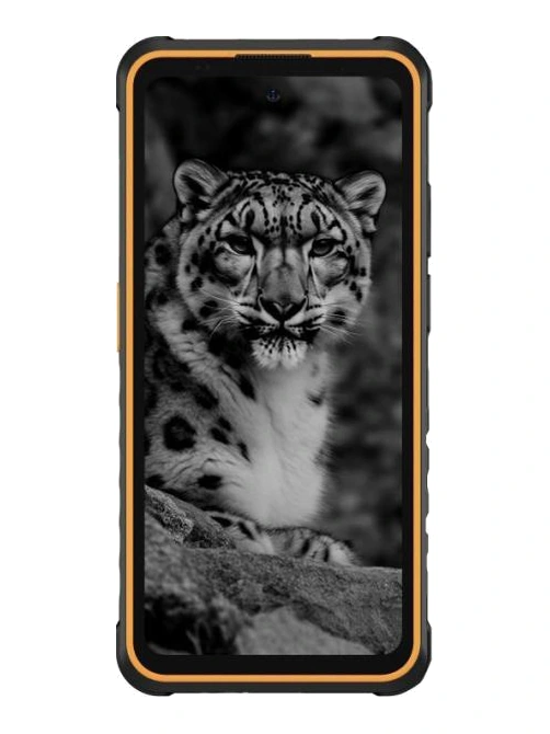 Ulefone Armor X31