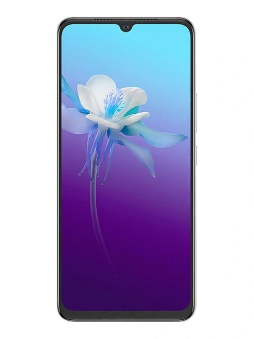 vivo V20 2021