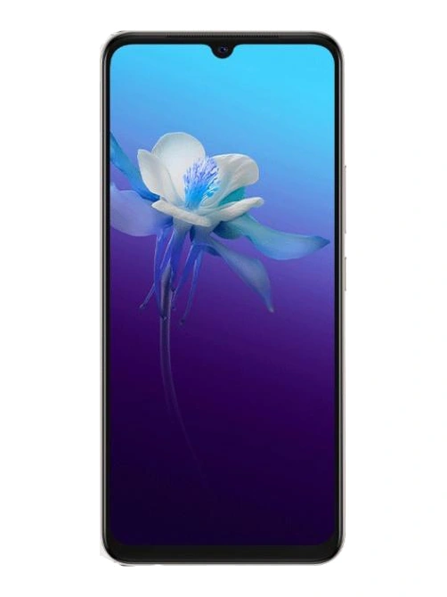 vivo V20