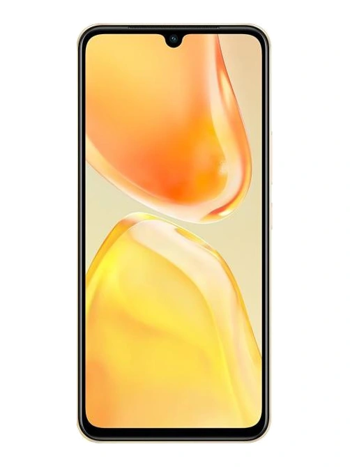 vivo V25