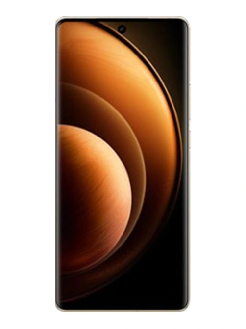 vivo X100